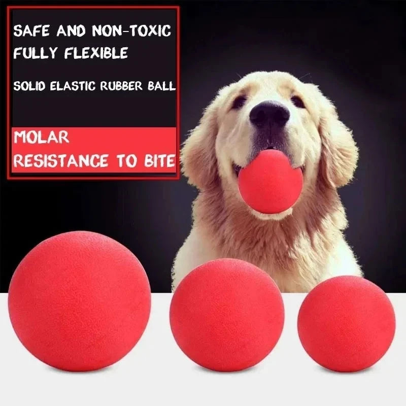 Indestructible Solid Rubber Ball Dog Toy — Fetch & Chew for Large Dogs