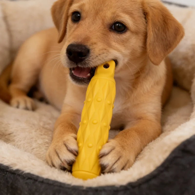 EVA Biting Stick Dog Chew Toy — Indestructible & Safe for Large Dogs
