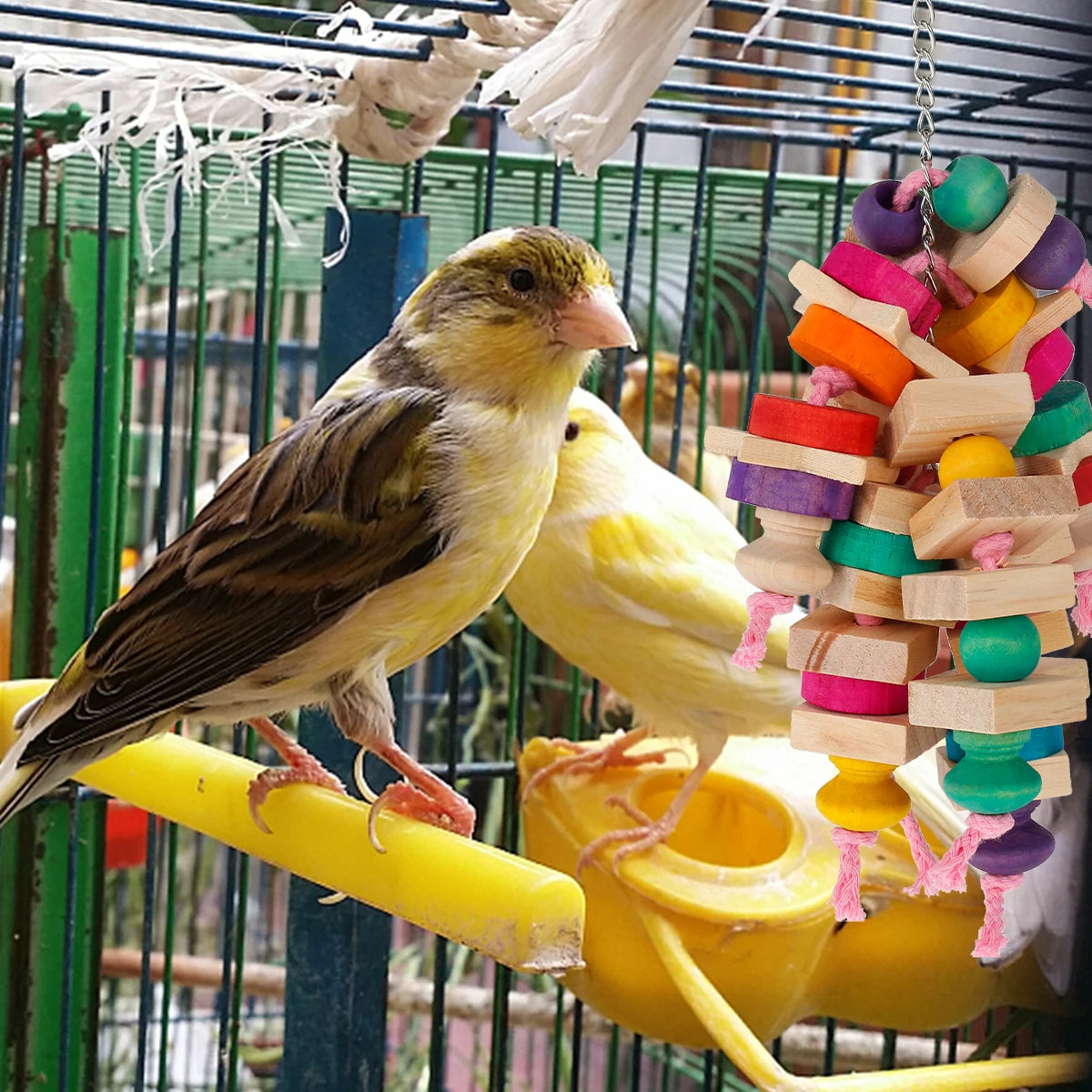 Wooden Parrot Foraging & Chewing Toy Set