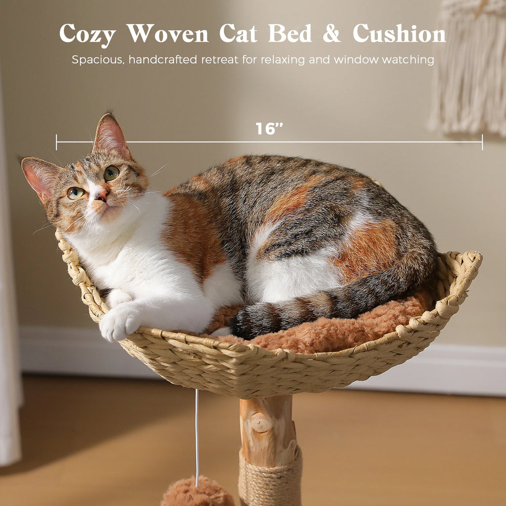 Luxury Boho Cat Tree with Wicker Basket, Real Wood Branches & Sisal Posts