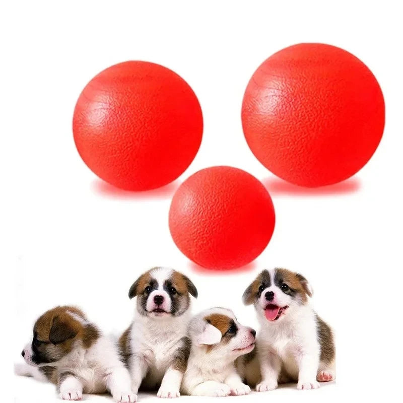 Indestructible Solid Rubber Ball Dog Toy — Fetch & Chew for Large Dogs