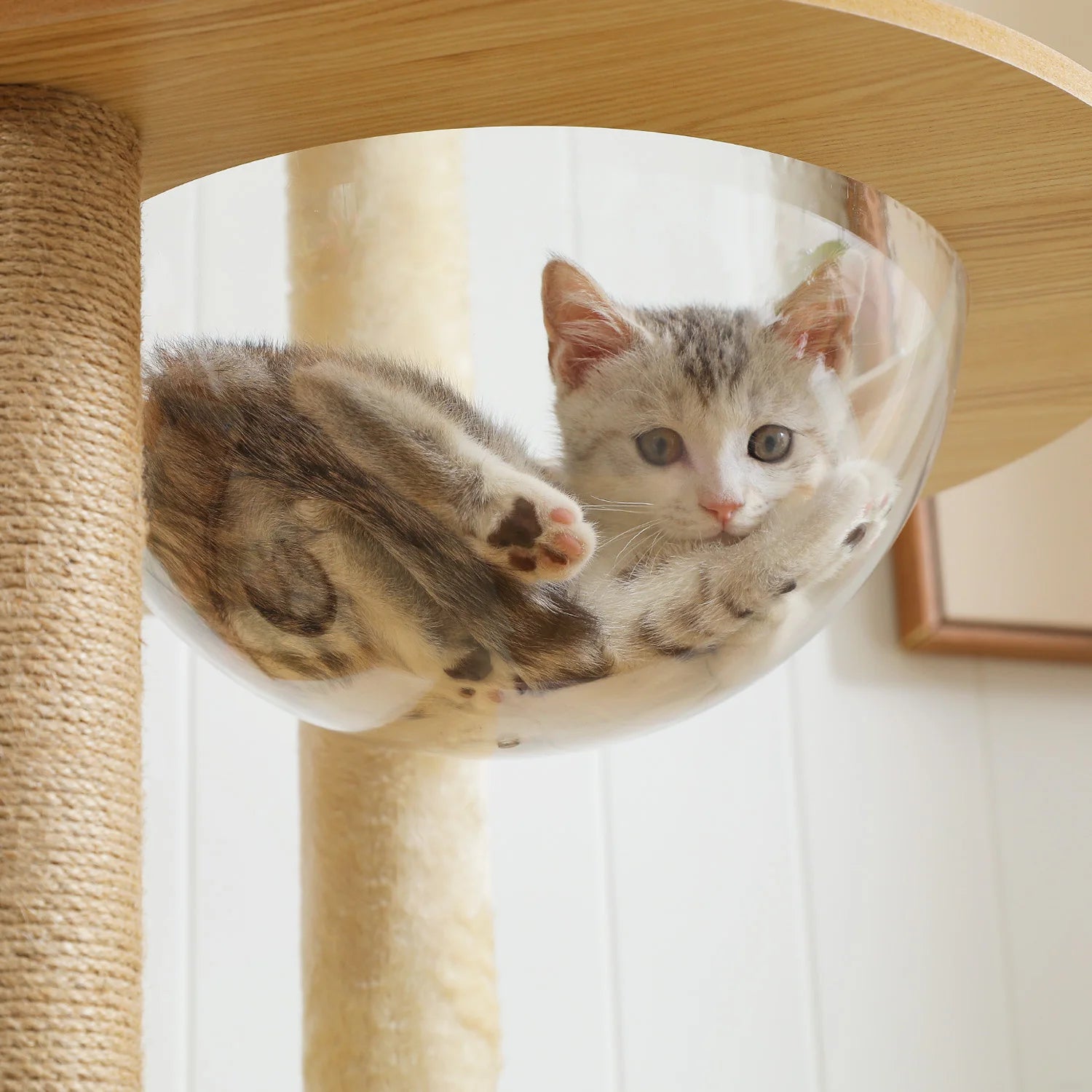 Multi-Level Cat Tree with Scratching Posts, Condo, Hammock & Top Perch