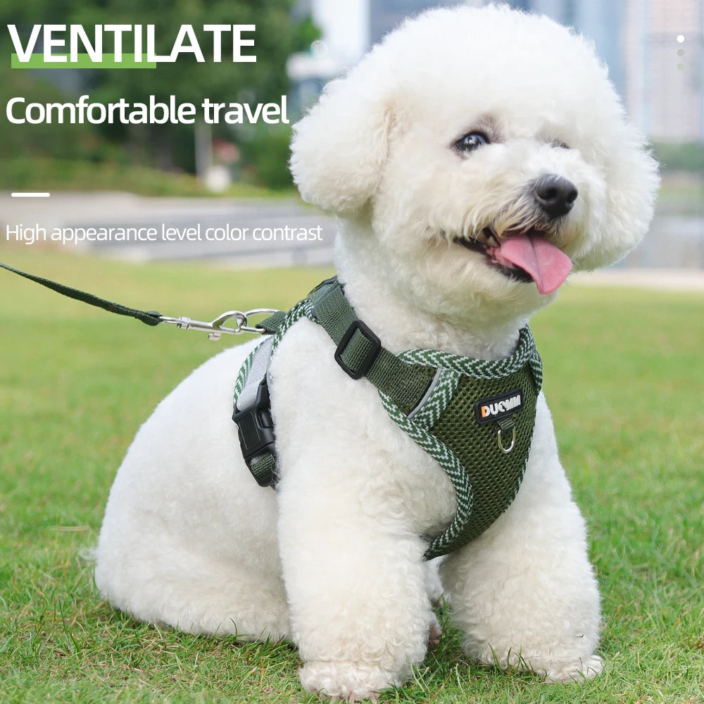 Breathable Mesh Cat & Dog Harness with Reflective Leash — Soft & Comfortable