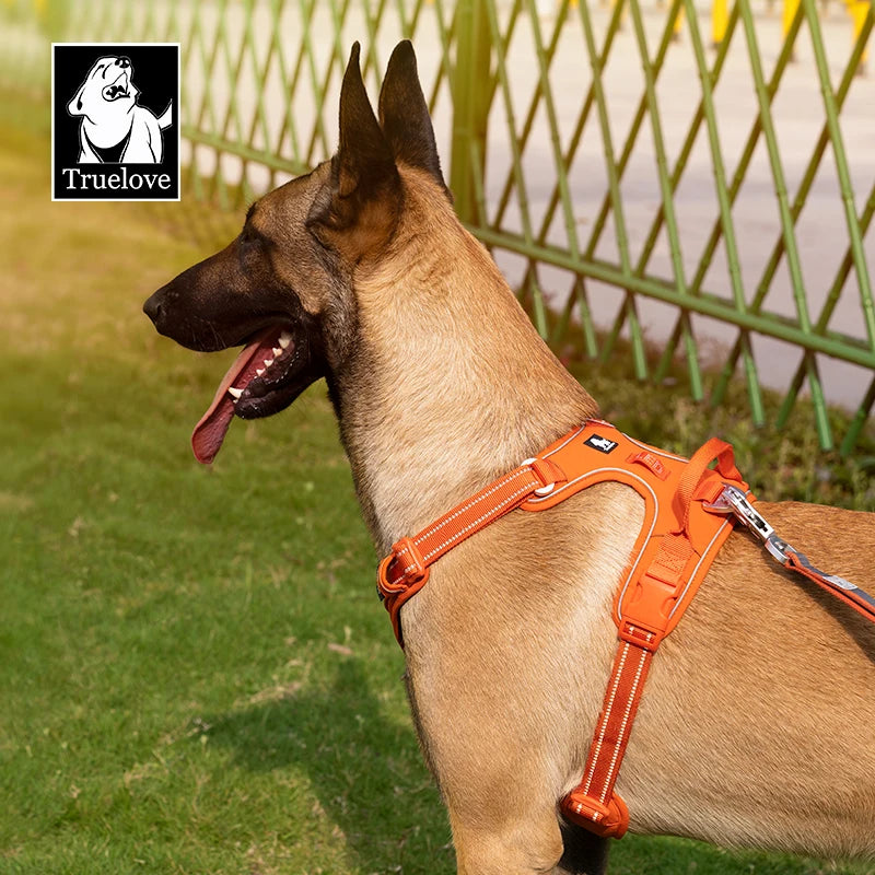 No-Pull Reflective Step-In Dog Harness — Adjustable & Comfortable