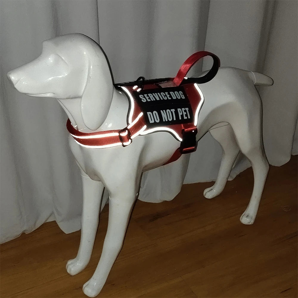 No-Pull Dog Harness with 4 Patches — Reflective Padded Vest for Medium & Large Dogs