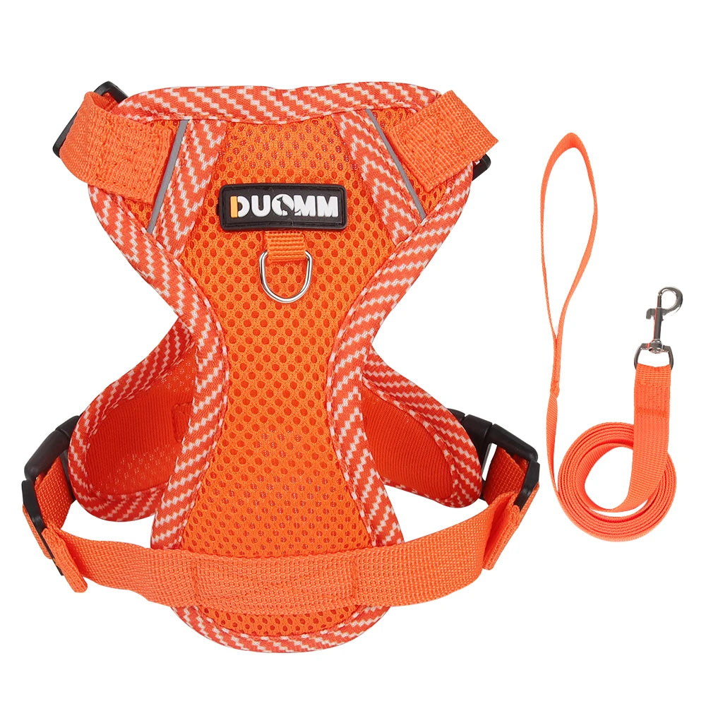 Breathable Mesh Cat & Dog Harness with Reflective Leash — Soft & Comfortable