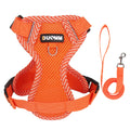 Breathable Mesh Cat & Dog Harness with Reflective Leash — Soft & Comfortable
