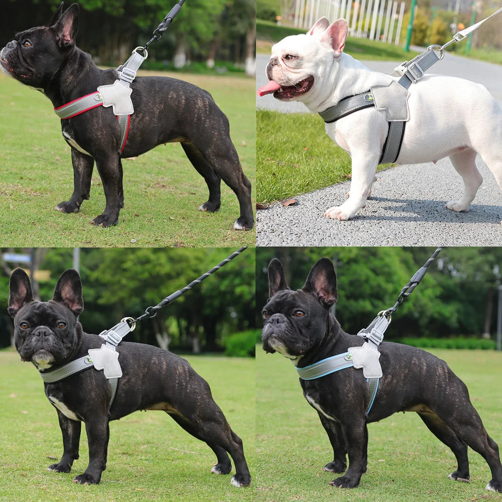 Adjustable Reflective Dog Harness for Small, Medium & Large Dogs