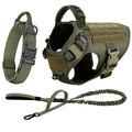 Dog Harness & Leash Set — Training Walking Vest for Medium & Large Dogs